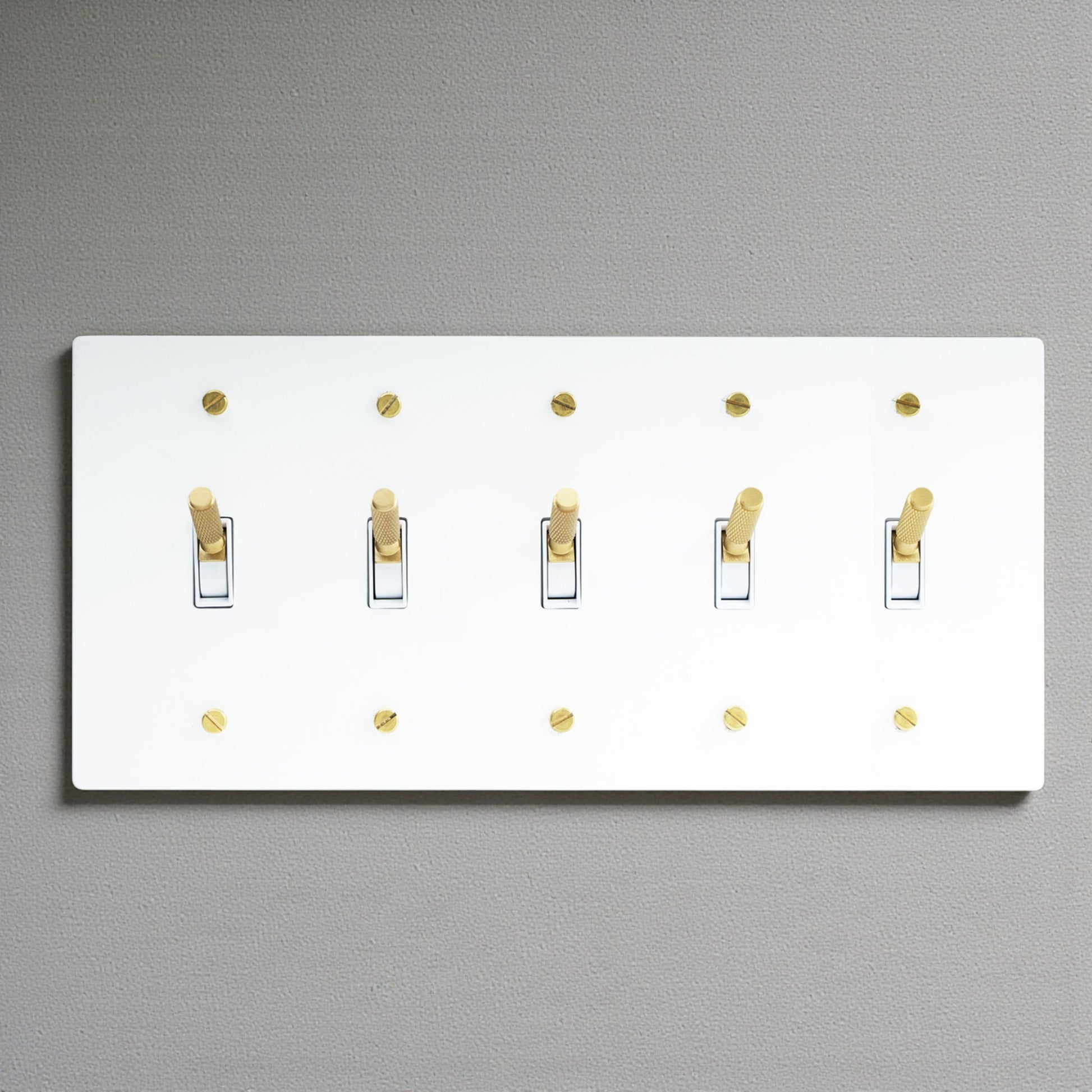White and golden 5 gang retro brass toggle light switch with dimmer and socket, solid brass vintage wall plate, US standard electrical hardware
Solid brass construction with white & golden aged finish

5-gang panel designed for advanced multi-switch layouts

Retro toggle switches with a satisfying mechanical “click”

Rotary dimmer for smooth and precise lighting control

Compatible with toggle, dimmer, socket, GFCI, and Type-C modules

Easy installation with matching screws included

Suitable for modern, vi